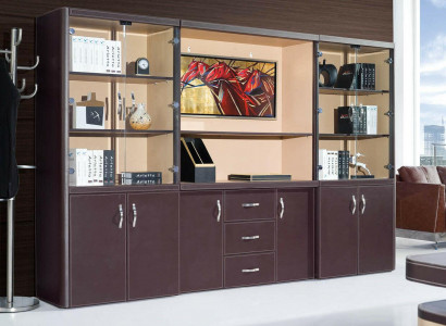 Büro Einrichtung Luxus Möbel - Aktenschrank Regal Kanzlei Praxis Schrank