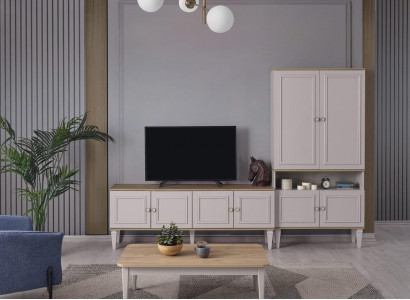 Garnitur TV Ständer Schrank RTV Lowboard Wohnzimmer Regale Grau Holz