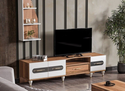 Modern rtv Regal Sideboard Kommode Lowboard Fernseh Ständer Schrank Möbel